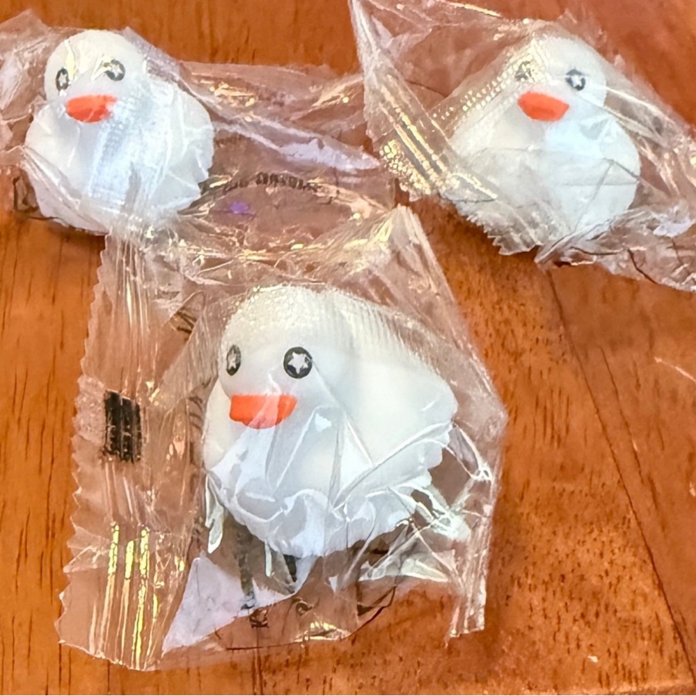 DUTCH BROS OCT 8 2025 LONELY GHOST DUCK New in Package ( 3 Ducks) Halloween